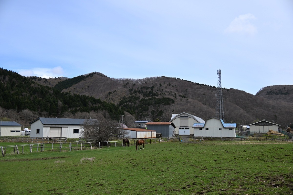 ffe9af94378221d0b487aaca252da68b-1747373760.jpg